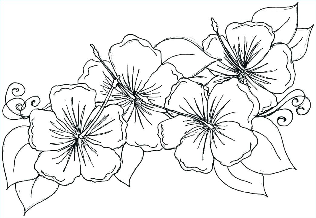 Big Flower Coloring Pages Coloring Pages Flowersnd Hearts In 1043x721 Big Flower Coloring Pages Coloring Pages Flowersnd Hearts In