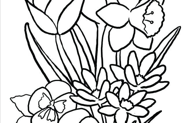 Big Flower Coloring Pages X Big Flower Coloring Sheets 650x425 Big Flower Coloring Pages X Big Flower Coloring Sheets