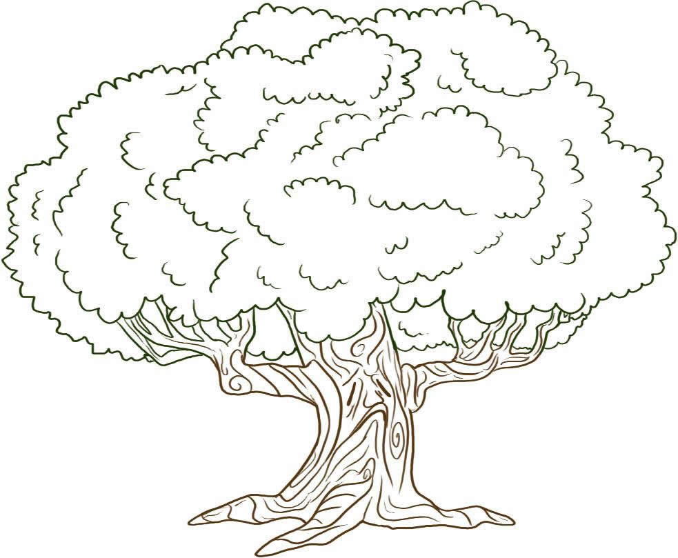 Big Tree Coloring Pages at GetColorings.com | Free printable colorings ...