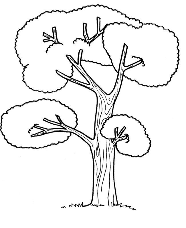 Big Tree Coloring Pages at GetColorings.com | Free printable colorings ...