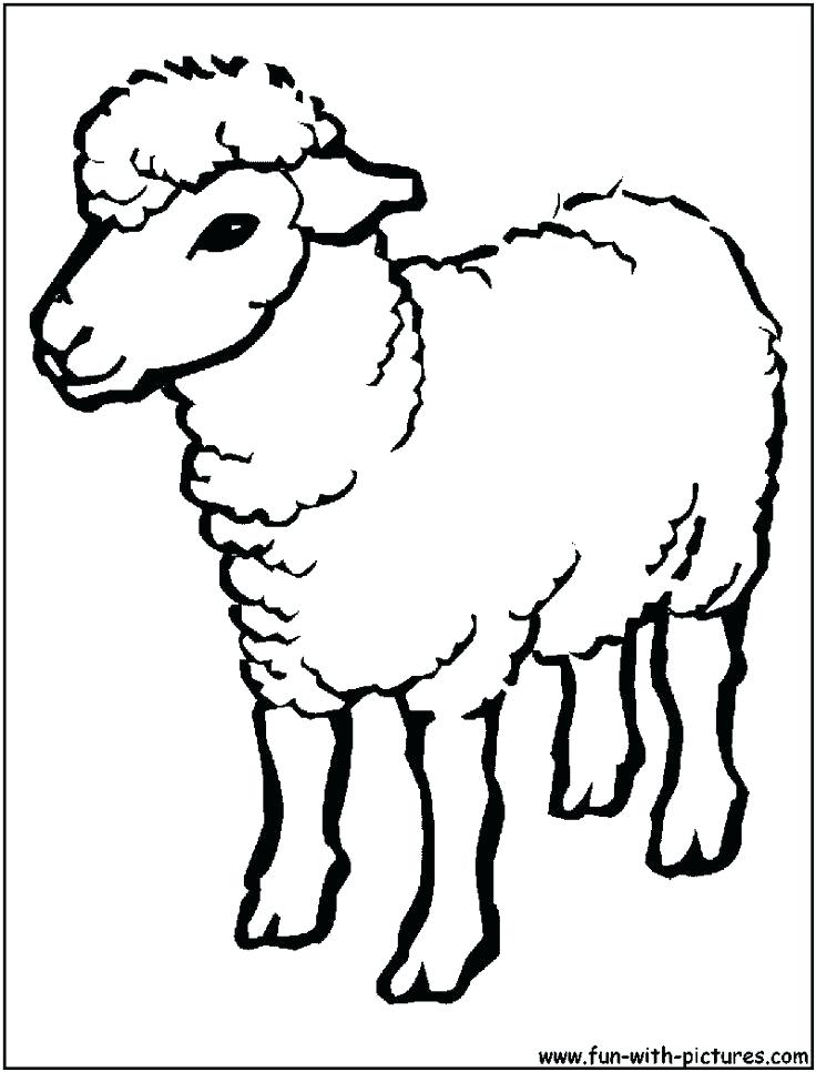 736x966 Coloring Pages Of Sheep Sheep Outline Drawing Coloring Page Sheep