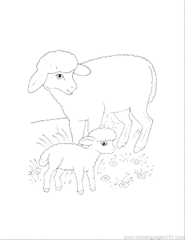 650x841 Coloring Pages Sheep Coloring Pages Sheep Mother And Lamb Coloring