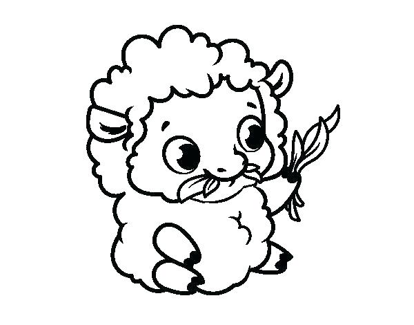 600x470 Sheep Coloring Page Coloring Pages Sheep Baby Sheep Coloring Pages