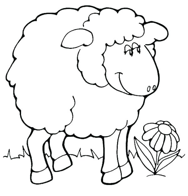 Bighorn Sheep Coloring Page at GetColorings.com | Free printable ...