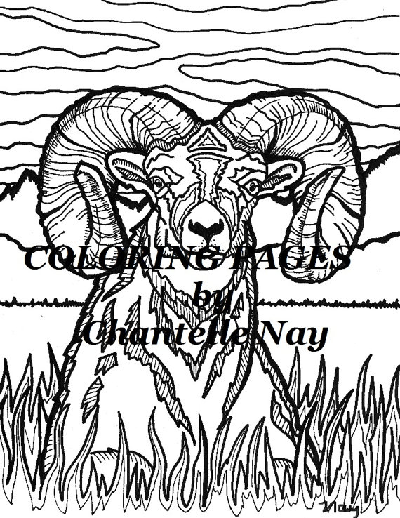570x738 Bighorn Sheep Coloring Page Adult Coloring Picture Animals