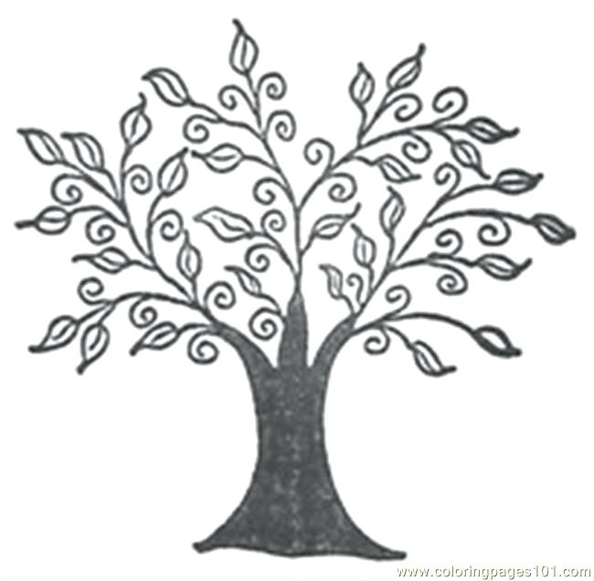 650x636 Coloring Pages Printable Free Birch Tree Branches Contemporary