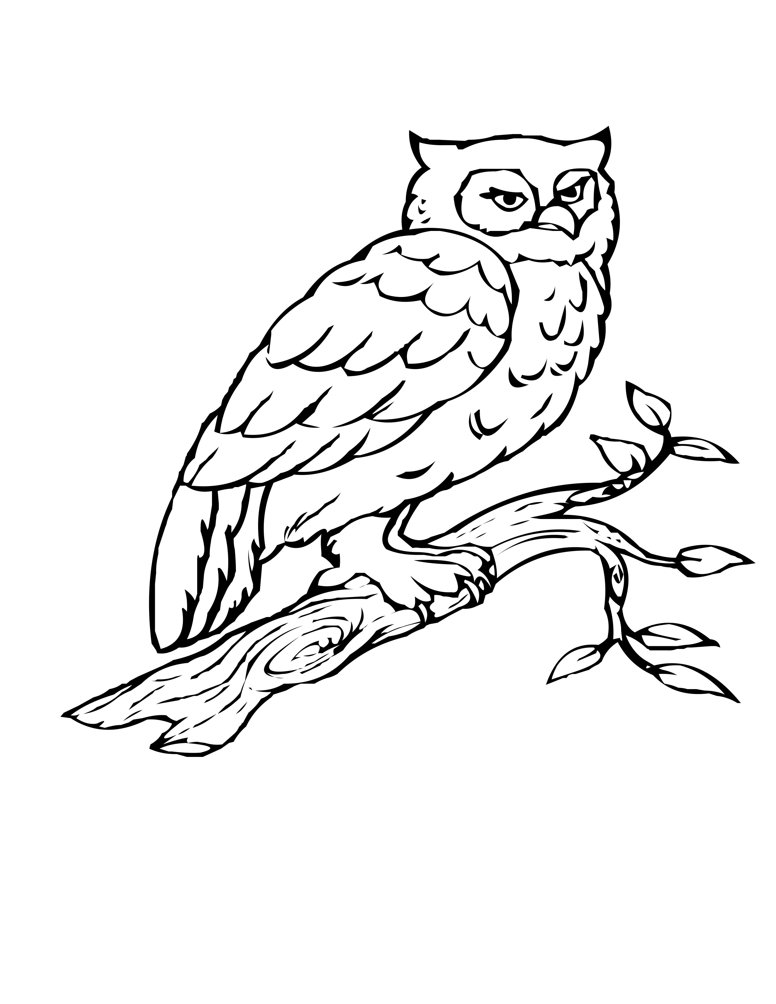 Birch Tree Coloring Coloring Pages