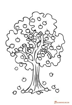 236x347 Trees Coloring Page To Print And Color Hs Nature Studies