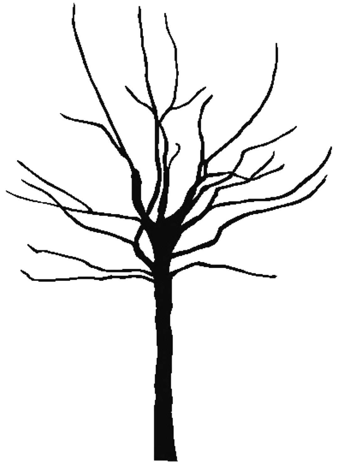 1080x1488 Awesome Bare Tree Coloring Page Free Coloring Pages