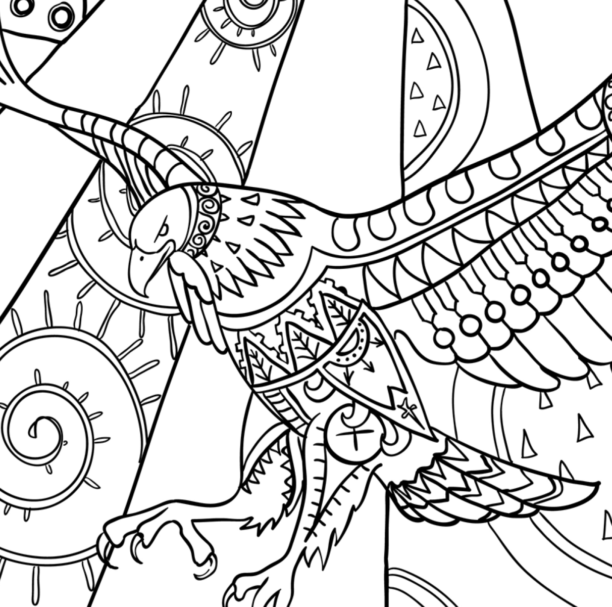 1212x1201 Amazing Birds Adult Coloring Book