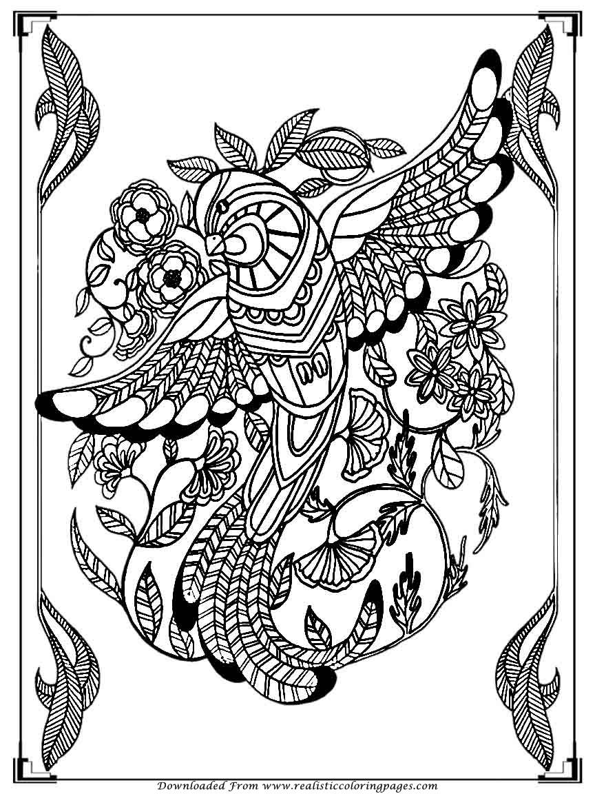 864x1152 34 Find Printable Adult Coloring Pages, 25 Best Ideas About