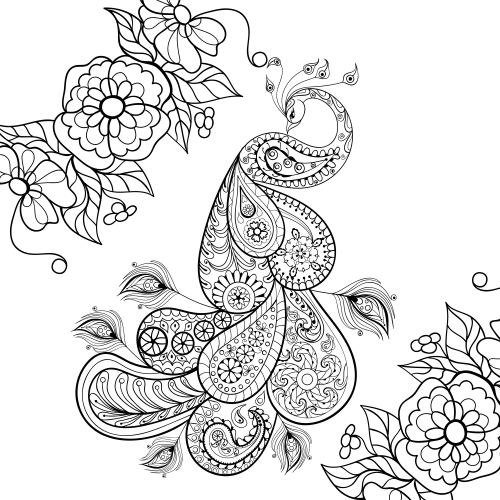 500x500 Bird Themed Adult Coloring Page