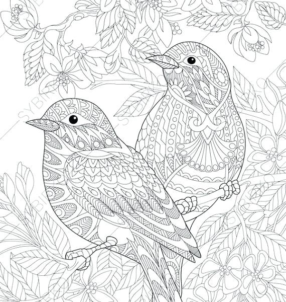 570x600 Free Printable Adult Coloring Pages Free Printable Adult Coloring