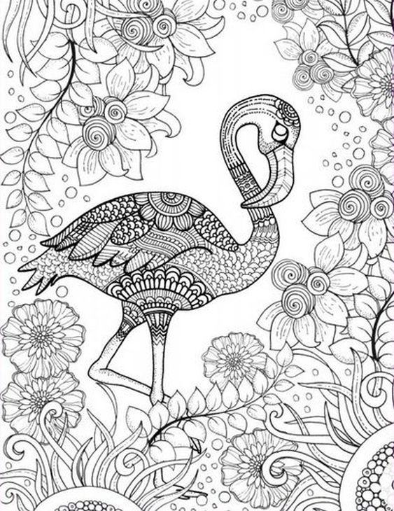 563x730 Free Printable Adult Coloring Page Of Pink Flamingo Bird