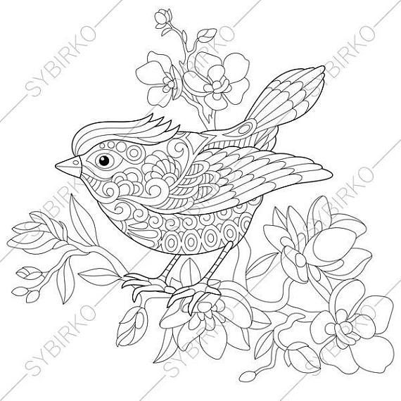 570x570 Adult Coloring Page. Sparrow Bird. Zentangle Doodle Coloring
