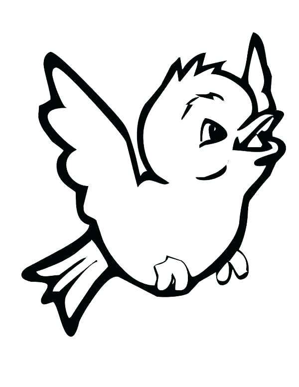 600x776 Coloring Pages Birds Flying