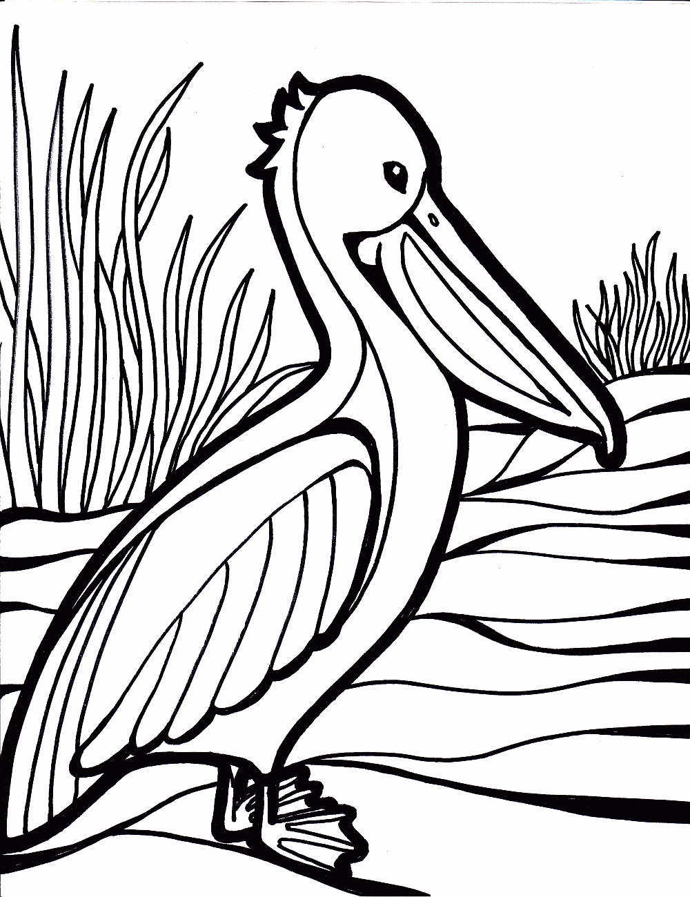 Coloring Pages Of Birds Luxury Birds Coloring Pages To Knowing 1000x1300 Coloring Pages Of Birds Luxury Birds Coloring Pages To Knowing