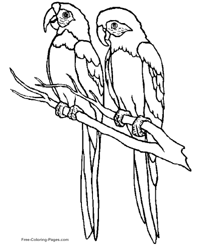 Coloring Pages Of Birds 400x490 Coloring Pages Of Birds