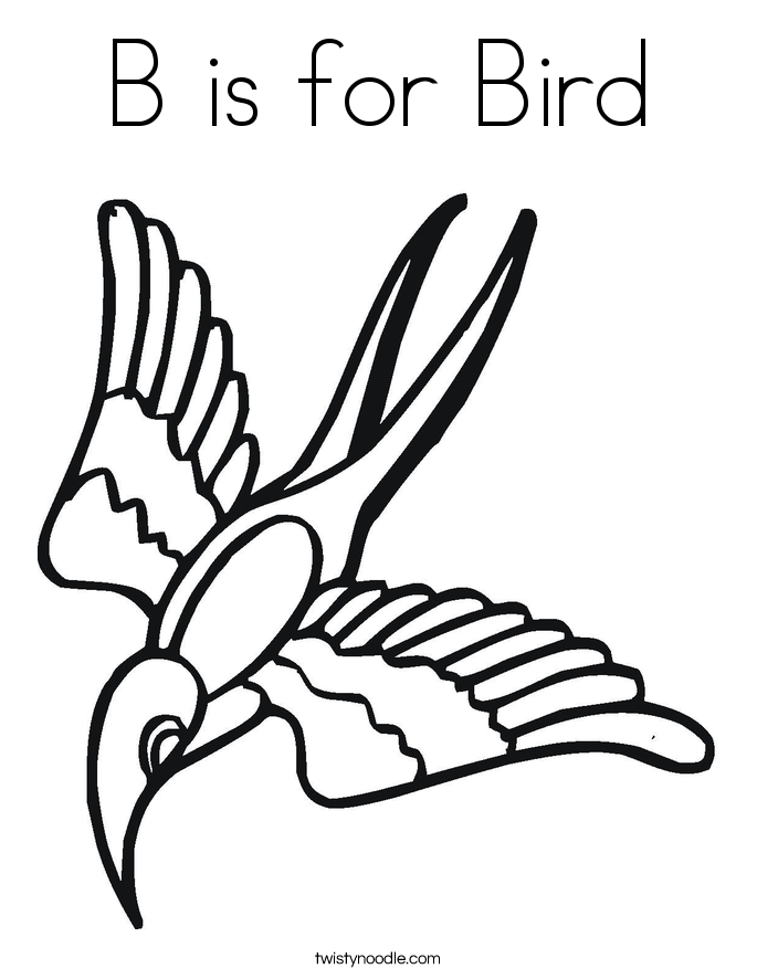 B Is For Bird Coloring Page 685x886 B Is For Bird Coloring Page