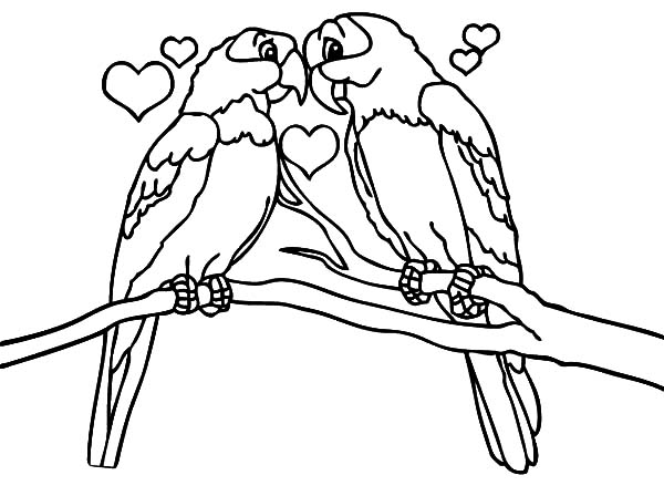 Love Is All Around Birds Coloring Pages Batch Within Inspirations 600x448 Love Is All Around Birds Coloring Pages Batch Within Inspirations
