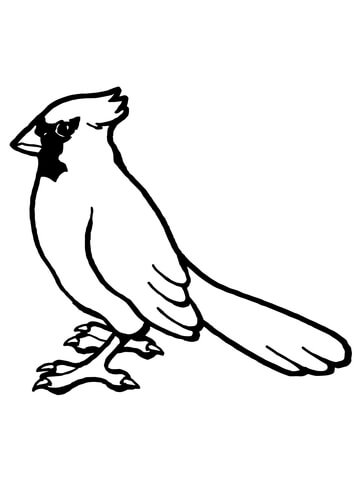 Printable Bird Coloring Pages 360x480 Printable Bird Coloring Pages