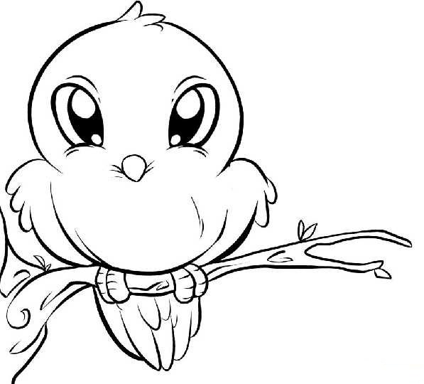 Baby Bird Coloring Pages 597x540 Baby Bird Coloring Pages