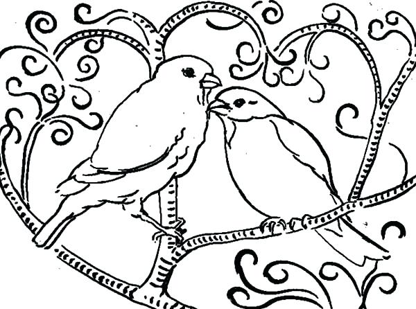 Bird Coloring Page 600x446 Bird Coloring Page