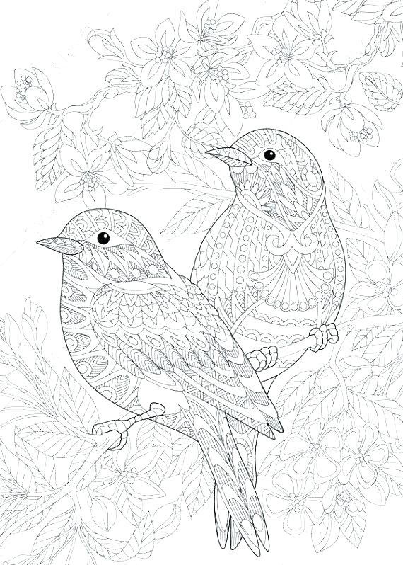 Bird Coloring Pages For Adults at GetColorings.com | Free printable ...