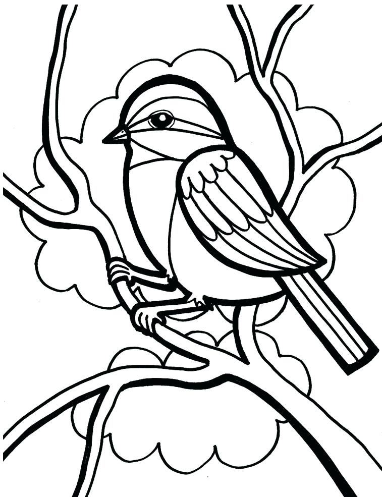 757x985 Bird Printable Coloring Pages Inspirational Bird Coloring Pages