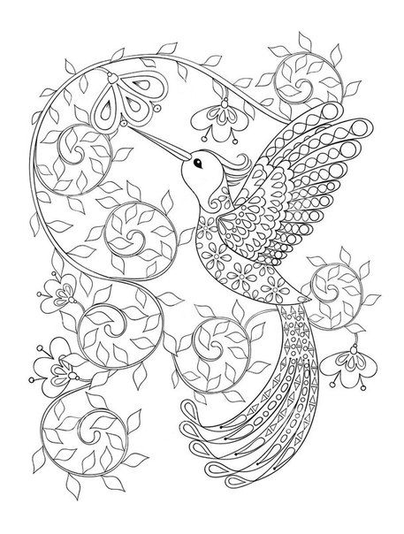 457x604 Free Bird Coloring Pages Fun Time