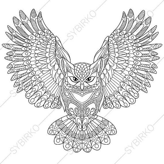 570x570 50 Best Birds Images On Adult Coloring, Art Drawings