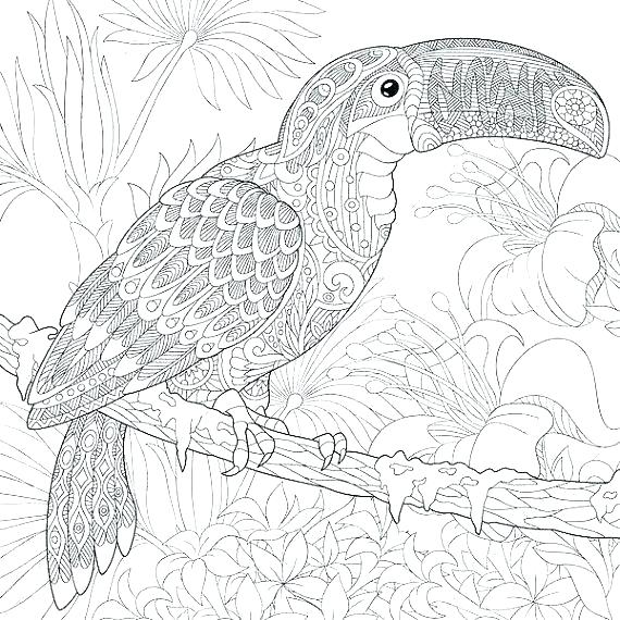 Bird Coloring Pages For Adults at GetColorings.com | Free printable ...