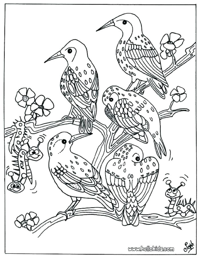 700x900 Animal Coloring Pages For Adults
