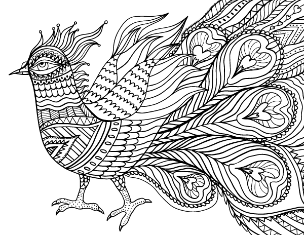 600x464 Abstract Bird Adult Coloring Page