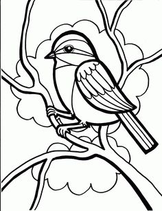 236x307 Parrot Coloring Pages Cinderella Bird, Adult