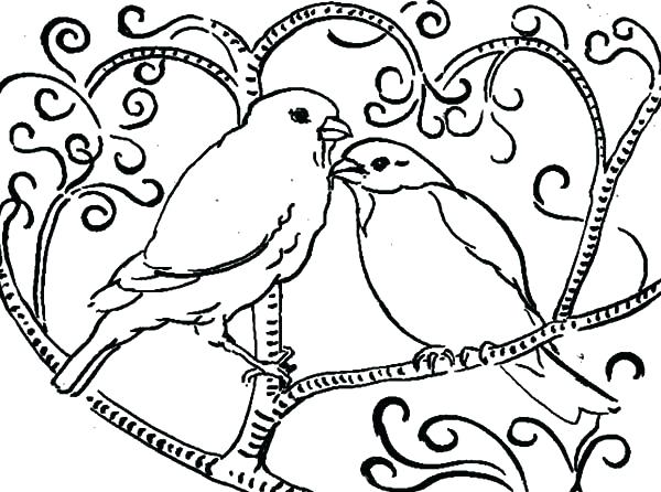 600x446 Bird Nest Coloring Page