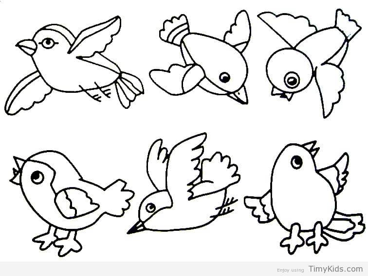 756x568 Bird Coloring Pages Preschoolers 25 Birds Coloring Pages
