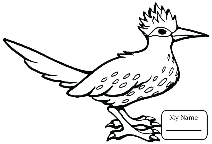 733x500 Coloring Pages Bird Cardinal Bird Coloring Page Bird Coloring