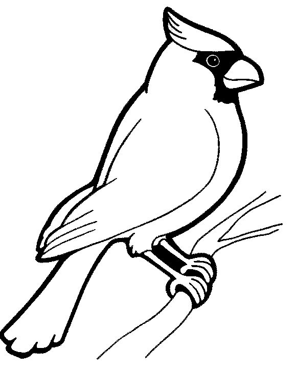579x725 Fantastic Birds Coloring Pages For Preschool Adults Print