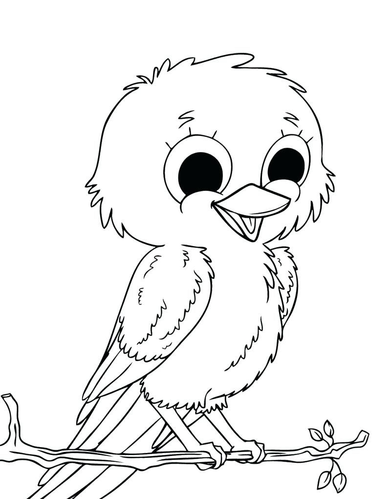 800x1020 Spring Birds Coloring Pages Adult Page For Kids Crane Bird