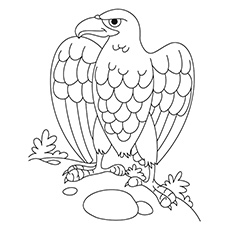 230x230 Top 20 Free Printable Bird Coloring Pages Online