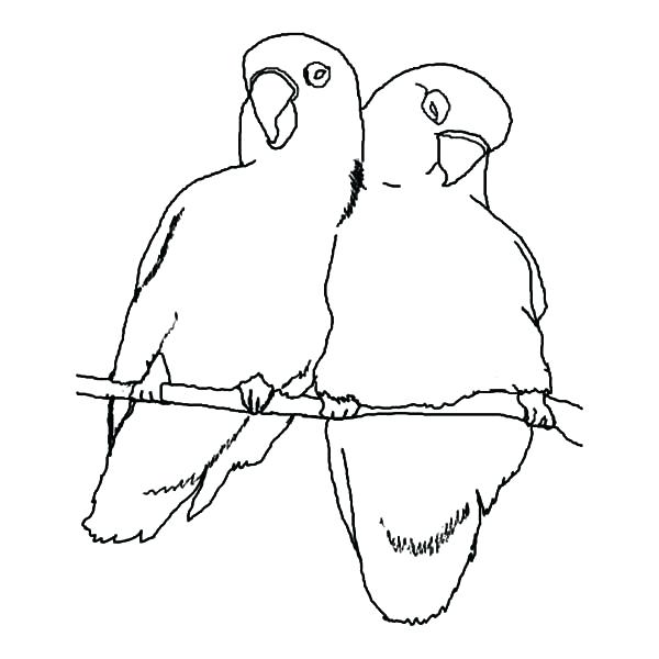 600x600 Bird Coloring Pages Bird Coloring Pages Bird Outline Drawing