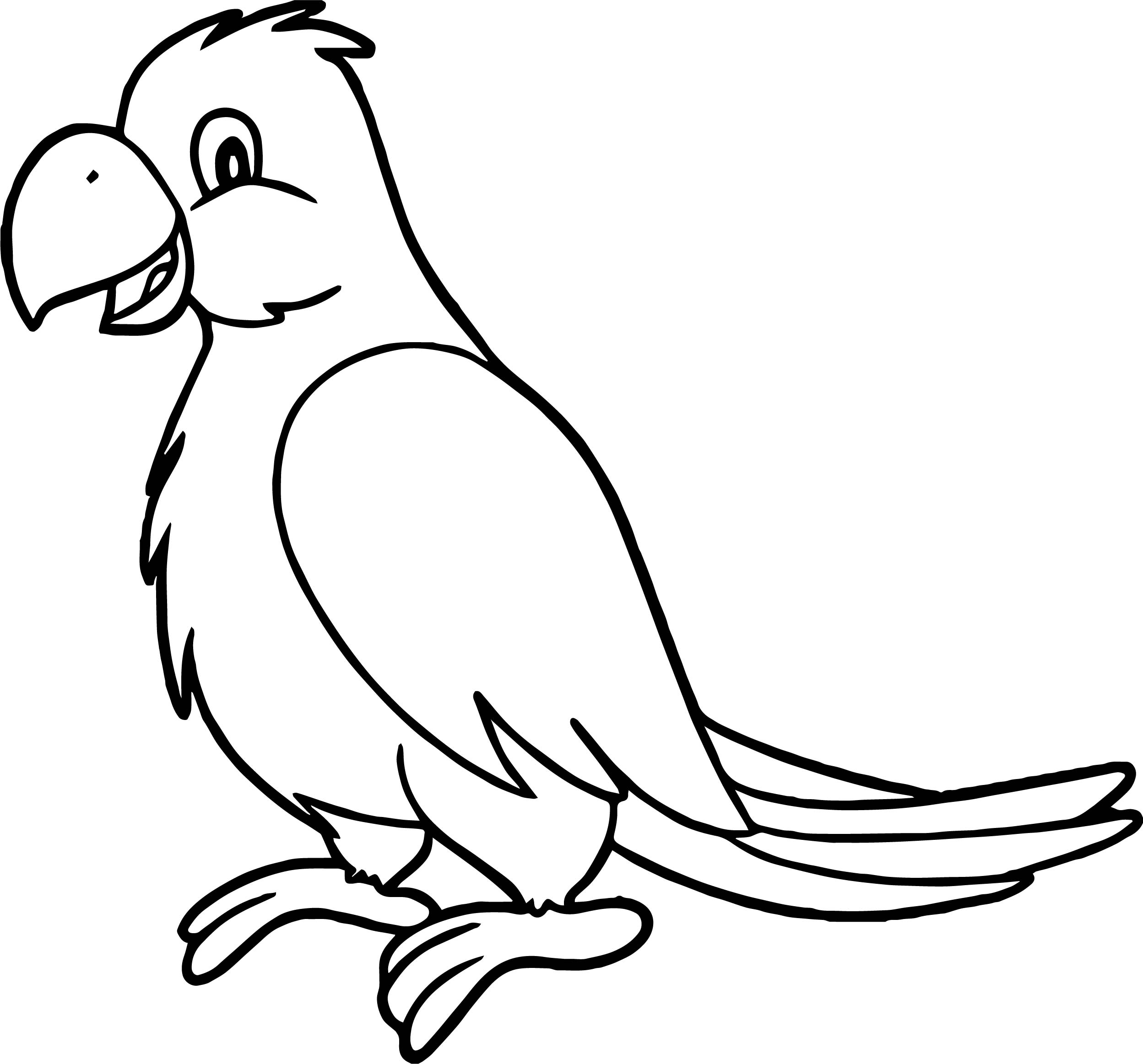 2497x2326 Coloring Pages Parrots On Brunch Birds Free Printable Animals