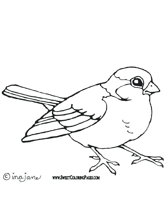 576x720 Bird Coloring Pages Printable