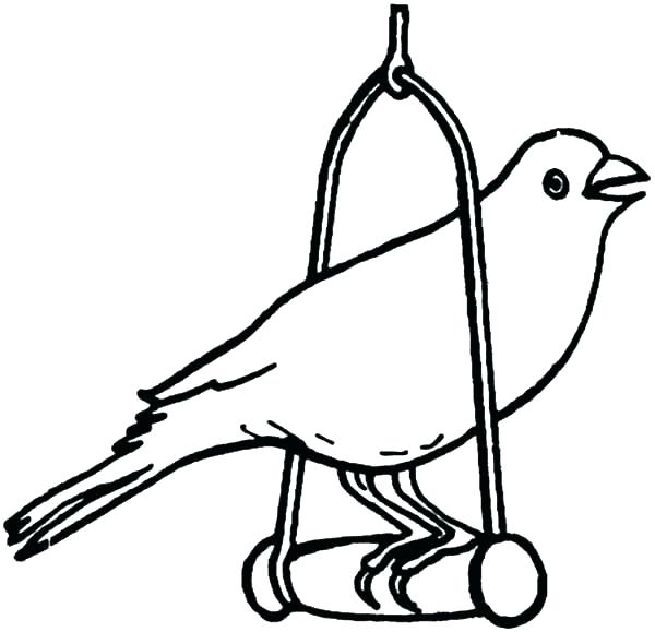 600x579 Bird Coloring Pages Printable