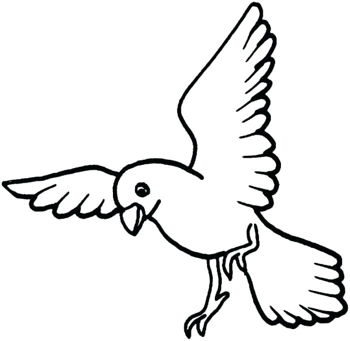 700x681 Bird Coloring Pages Printable