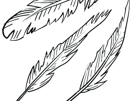 Coloring Pages Of Peacocks Peacock Adult Coloring Page Black 440x330 Coloring Pages Of Peacocks Peacock Adult Coloring Page Black