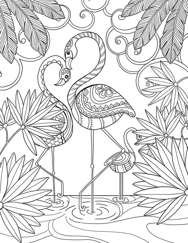 Flamingo Coloring Page 600x776 Flamingo Coloring Page
