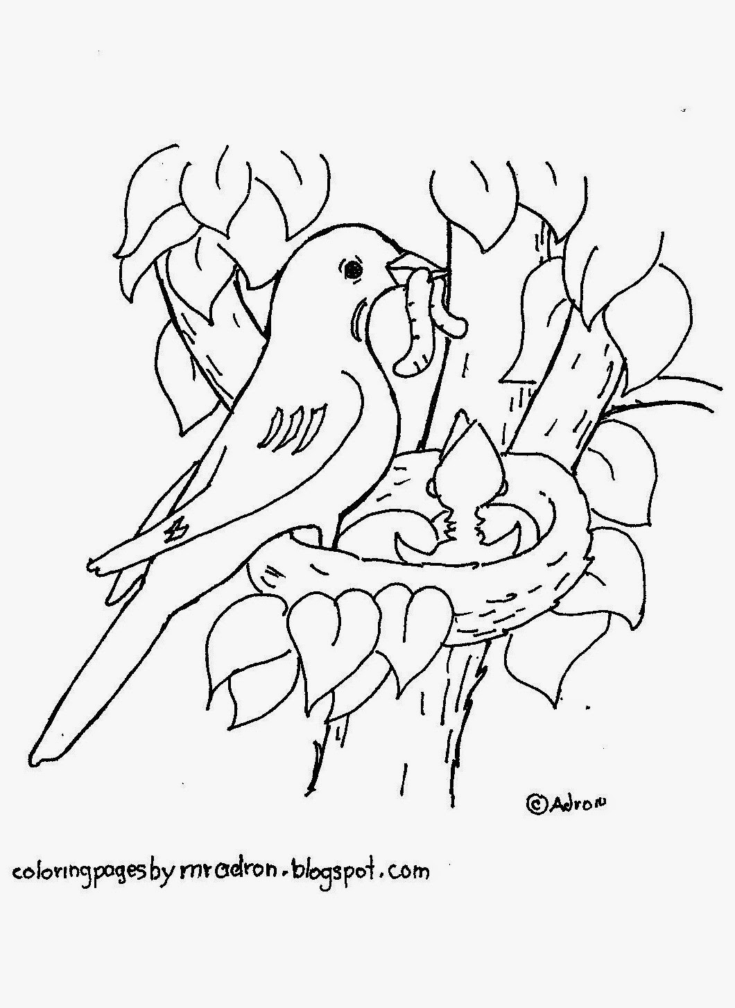 Bird Nest Coloring Page 1060x1454 Bird Nest Coloring Page