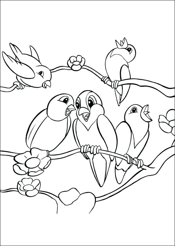 Coloring Page Bird Bird Coloring Pages 3 Coloring Pages Angry 567x794 Coloring Page Bird Bird Coloring Pages 3 Coloring Pages Angry